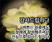 이미지 썸네일