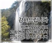 이미지 썸네일