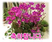 이미지 썸네일