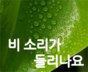 이미지 썸네일