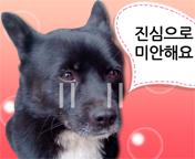이미지 썸네일