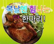 이미지 썸네일