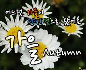이미지 썸네일